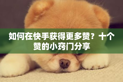 如何在快手获得更多赞？十个赞的小窍门分享-第1张图片-ZBLOG