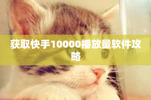 获取快手10000播放量软件攻略-第1张图片-ZBLOG