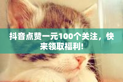 抖音点赞一元100个关注，快来领取福利!-第1张图片-ZBLOG