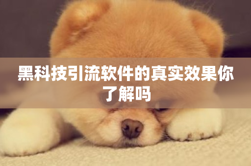 黑科技引流软件的真实效果你了解吗-第1张图片-ZBLOG