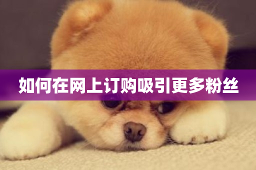 如何在网上订购吸引更多粉丝-第1张图片-ZBLOG