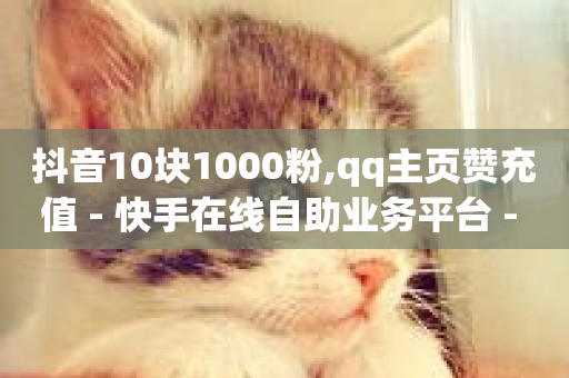 抖音10块1000粉,qq主页赞充值 - 快手在线自助业务平台 - 快手买热度网站 - 0.01元,小白龙马山有限责任公司-第1张图片-ZBLOG