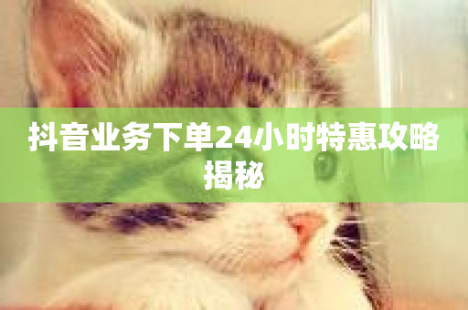 抖音业务下单24小时特惠攻略揭秘-第1张图片-ZBLOG