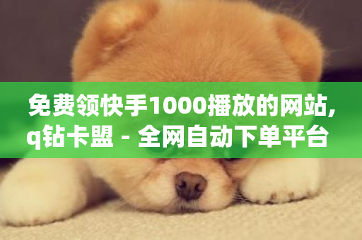 免费领快手1000播放的网站,q钻卡盟 - 全网自动下单平台 - 快手涨粉ks-第1张图片-ZBLOG