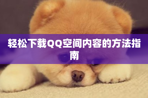 轻松下载QQ空间内容的方法指南-第1张图片-ZBLOG