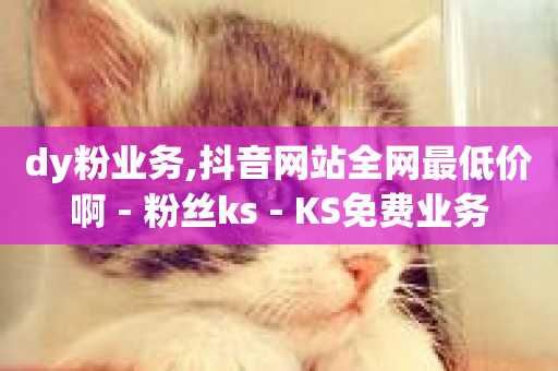 dy粉业务,抖音网站全网最低价啊 - 粉丝ks - KS免费业务-第1张图片-ZBLOG