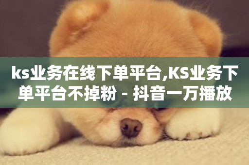 ks业务在线下单平台,KS业务下单平台不掉粉 - 抖音一万播放1块钱 - 168卡盟网-第1张图片-ZBLOG