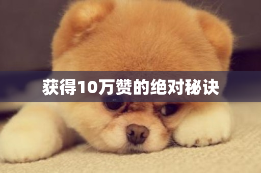 获得10万赞的绝对秘诀-第1张图片-ZBLOG