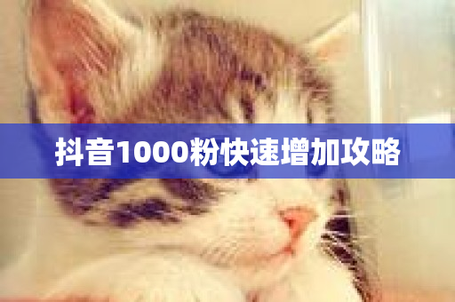 抖音1000粉快速增加攻略-第1张图片-ZBLOG