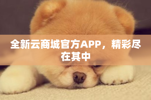 全新云商城官方APP，精彩尽在其中