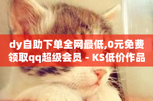 dy自助下单全网最低,0元免费领取qq超级会员 - KS低价作品双击 - 抖音快手买z的网站-第1张图片-ZBLOG