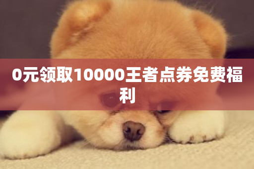 0元领取10000王者点券免费福利-第1张图片-ZBLOG