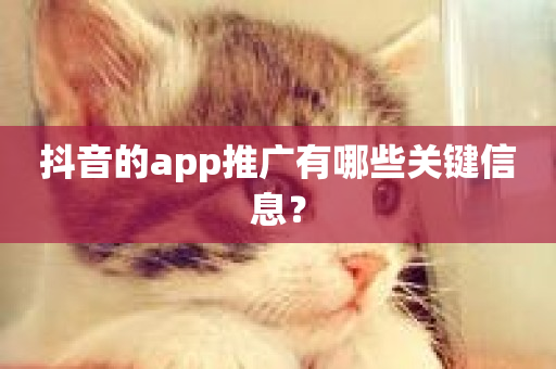 抖音的app推广有哪些关键信息？-第1张图片-ZBLOG