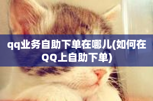 qq业务自助下单在哪儿(如何在QQ上自助下单)-第1张图片-ZBLOG