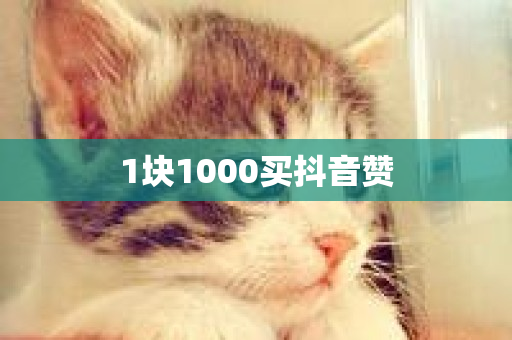 1块1000买抖音赞