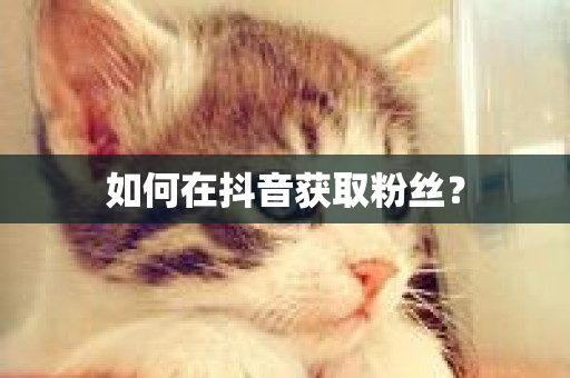 如何在抖音获取粉丝？-第1张图片-ZBLOG