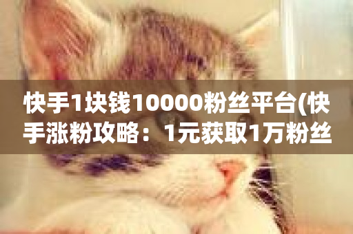 快手1块钱10000粉丝平台(快手涨粉攻略：1元获取1万粉丝秘诀)