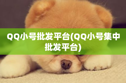 QQ小号批发平台(QQ小号集中批发平台)-第1张图片-ZBLOG