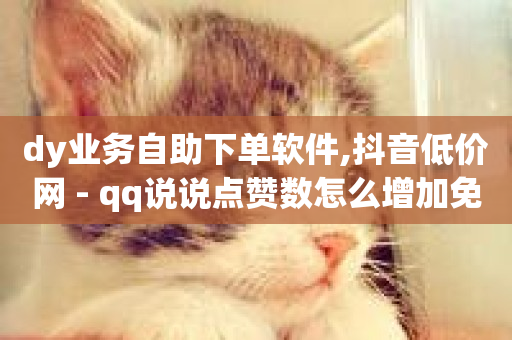 dy业务自助下单软件,抖音低价网 - qq说说点赞数怎么增加免费 - 超低价qq业务网-第1张图片-ZBLOG