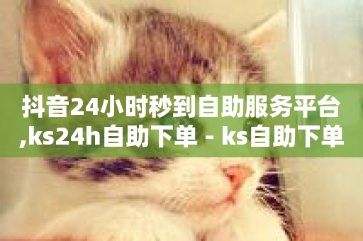 抖音24小时秒到自助服务平台,ks24h自助下单 - ks自助下单便宜 - 腾讯会员0.1元开通-第1张图片-ZBLOG