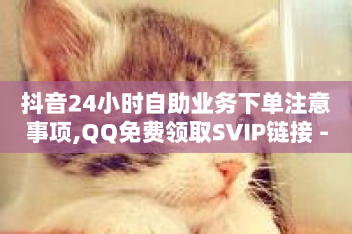 抖音24小时自助业务下单注意事项,QQ免费领取SVIP链接 - ks业务推广 - 快手打call速刷-第1张图片-ZBLOG