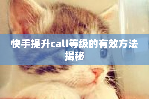 快手提升call等级的有效方法揭秘-第1张图片-ZBLOG