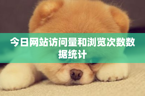 今日网站访问量和浏览次数数据统计-第1张图片-ZBLOG