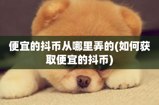 便宜的抖币从哪里弄的(如何获取便宜的抖币)-第1张图片-ZBLOG