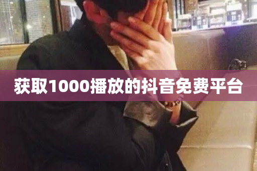 获取1000播放的抖音免费平台-第1张图片-ZBLOG