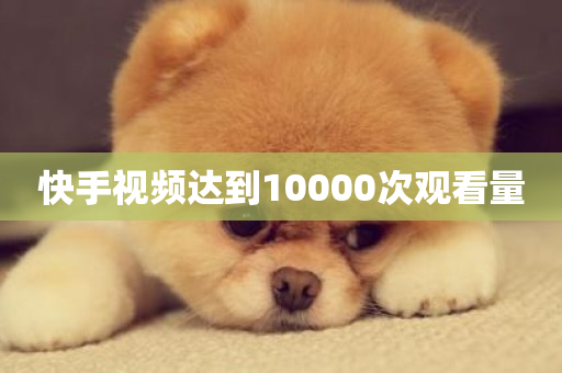 快手视频达到10000次观看量-第1张图片-ZBLOG