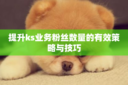 提升ks业务粉丝数量的有效策略与技巧-第1张图片-ZBLOG