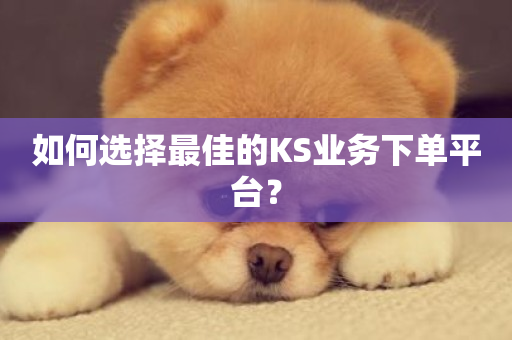 如何选择最佳的KS业务下单平台？-第1张图片-ZBLOG