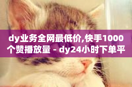 dy业务全网最低价,快手1000个赞播放量 - dy24小时下单平台 - 自助下单dy超低价-第1张图片-ZBLOG