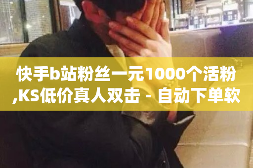 快手b站粉丝一元1000个活粉,KS低价真人双击 - 自动下单软件 - dy作品评论自助下单-第1张图片-ZBLOG