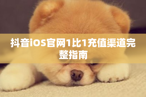 抖音iOS官网1比1充值渠道完整指南-第1张图片-ZBLOG