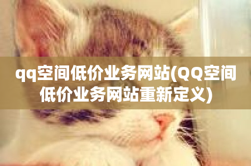 qq空间低价业务网站(QQ空间低价业务网站重新定义)-第1张图片-ZBLOG