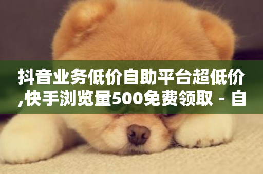 抖音业务低价自助平台超低价,快手浏览量500免费领取 - 自助超便宜KS下单 - 自助业务网24小时自助下单商城