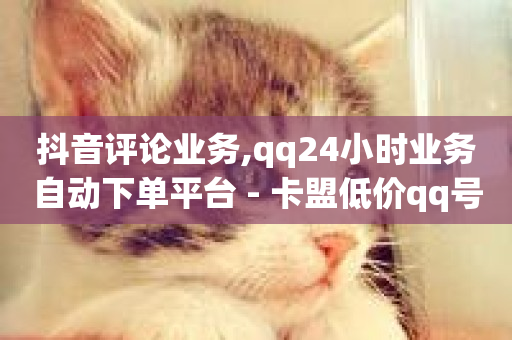 抖音评论业务,qq24小时业务自动下单平台 - 卡盟低价qq号 - 抖音一元100个赞秒到网站