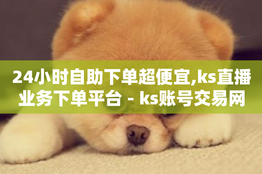 24小时自助下单超便宜,ks直播业务下单平台 - ks账号交易网 - 网红助手24小时下单平台-第1张图片-ZBLOG