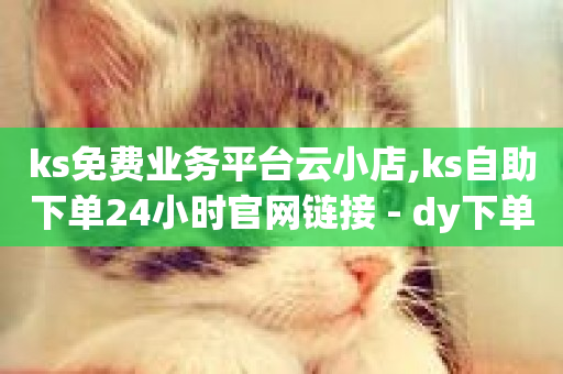 ks免费业务平台云小店,ks自助下单24小时官网链接 - dy下单赞 - qq怎么加陌生人为好友