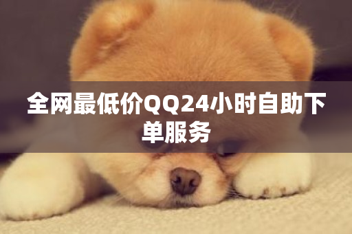 全网最低价QQ24小时自助下单服务-第1张图片-ZBLOG