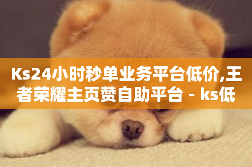 Ks24小时秒单业务平台低价,王者荣耀主页赞自助平台 - ks低价下单平台 - 快手卡盟自助