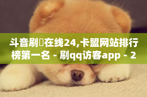 斗音刷讚在线24,卡盟网站排行榜第一名 - 刷qq访客app - 24小时业务自动下单平台-第1张图片-ZBLOG