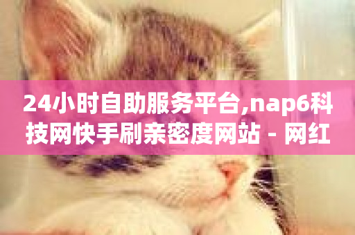 24小时自助服务平台,nap6科技网快手刷亲密度网站 - 网红商城自助下单网址是多少 - qq刷钻卡盟永久最低价-第1张图片-ZBLOG