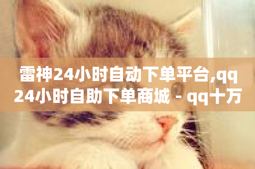 雷神24小时自动下单平台,qq24小时自助下单商城 - qq十万赞平台 - 24小时自助服务平台-第1张图片-ZBLOG