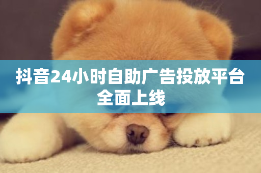 抖音24小时自助广告投放平台全面上线-第1张图片-ZBLOG