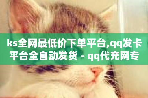 ks全网最低价下单平台,qq发卡平台全自动发货 - qq代充网专业代充平台 - qq空间浏览