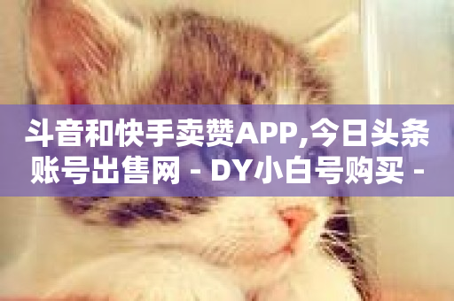 斗音和快手卖赞APP,今日头条账号出售网 - DY小白号购买 - cf黑号低价卡盟