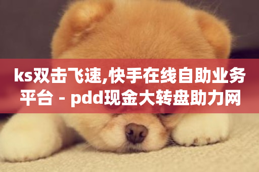 ks双击飞速,快手在线自助业务平台 - pdd现金大转盘助力网站 - 抖音快手自助服务-第1张图片-ZBLOG