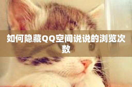 如何隐藏QQ空间说说的浏览次数-第1张图片-ZBLOG